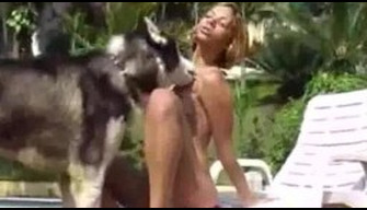 Magro de pele escura menina tem relações sexuais com um cão na rua jardim zoológico de filme pornô privado