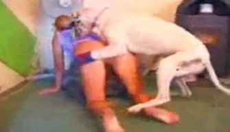 Cool zoo porn video a girl gives herself to a dog in the pussy