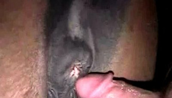 Libertine with shaggy testicles masturbates a horse and thrusts horse porn